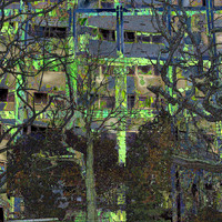 Trees