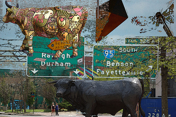 What Bull, Where?
